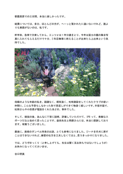 谷口明美