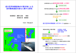 超大型浮体構造物の付着生物による 溶存酸素濃度の