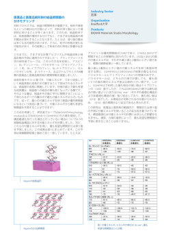 医薬品と医薬品賦形剤の結晶劈開面の分子モデリング