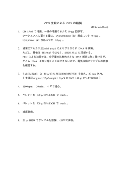 PEG 沈殿による DNA の精製