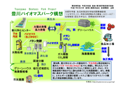 消化液 ガス精製 CO 溶解 水熱処理 海藻養殖場 固液分離