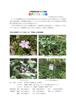 南アルプスの植物