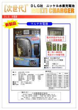 形式 DLG-MW6278JF LCD付きマルチ充電器 入数 大箱 10個入り 価格