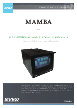 ポータブル & コンパクトな H.264 エンコーダ