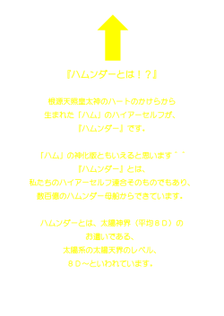 『ハムンダーとは！？』