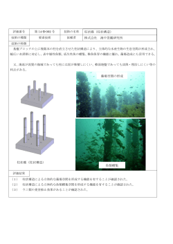 柱状礁（柱状構造） 株式会社 海中景観研究所 藻場空間の形成 柱状礁
