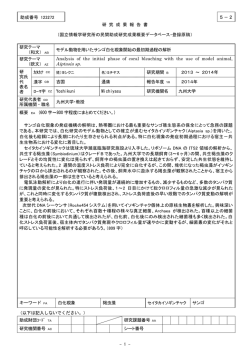 Document