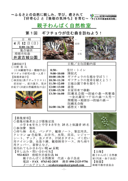 ギフチョウが住む森を訪ねよう！