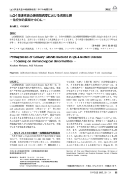 IgG4関連疾患の唾液腺病変における病態生理