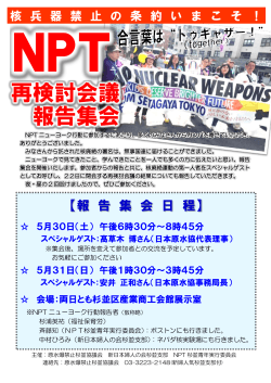 2015年_NPT再検討会議報告会