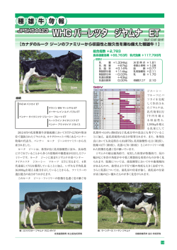 JP5H54423 WHG バーレツタ ジヤムナ ET