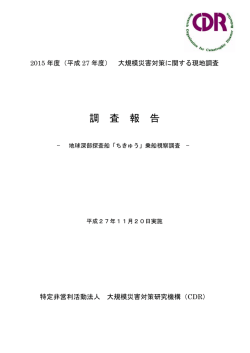 調 査 報 告 - NPO法人 大規模災害対策研究機構