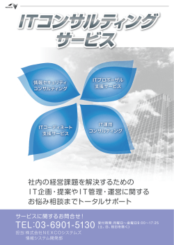 ITコンサルティング サービス ITコンサルティング サービス