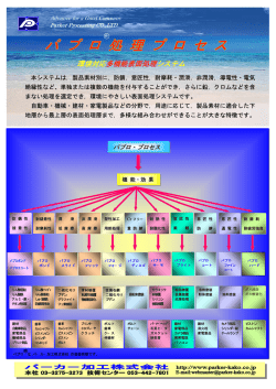 パプロ処理プロセス（PDF）