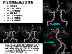 梗塞の病変部位 動脈支配による記載が重要