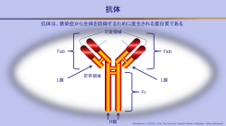 PowerPoint版（4ページ / 727KB）