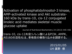 AMPK、AS160の活性化は、 骨格筋の糖取り込みを調節する。