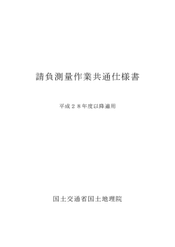 請負測量作業共通仕様書