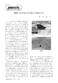 蝶愛づる年寄りの「寝言」の様なもの