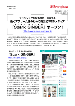 Spark GINGER - 株式会社ブランジスタ