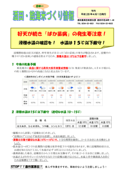 好天が続き「ばか苗病」の発生要注意！