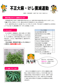 不正大麻・けし撲滅運動チラシ [PDFファイル／300KB]