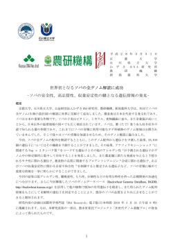 資料1 - 石川県立大学