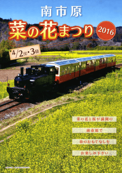 南市原「菜の花まつり」のお知らせ
