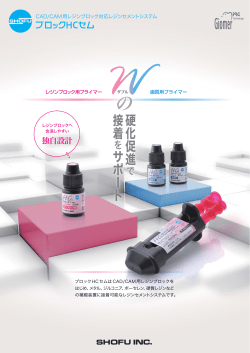 ブロック用プライマー