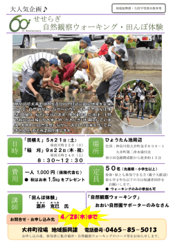 自然観察ウォーキング・田んぼ体験