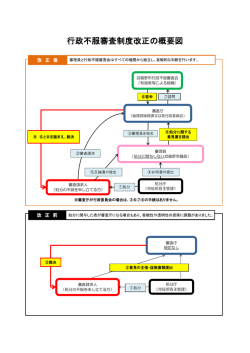 行政不服審査制度改正の概要図