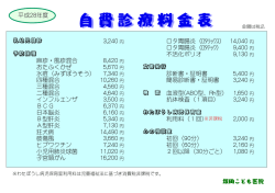 自費料金表（28年度）201604 (DR)