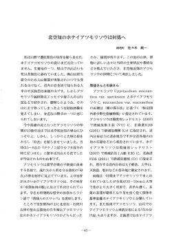 北空知のホテイアツモリソウは何処へ