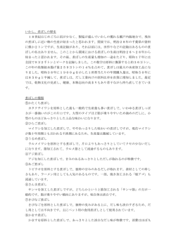（第2期・須沼さん）-ダウンロード（PDF）
