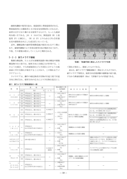 5・2・3 耐ラメラテア鋼板