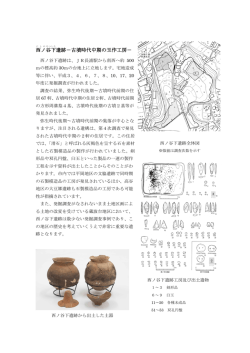 西ノ谷下遺跡解説 [PDFファイル／347KB]
