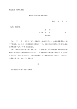 補助金交付決定前事業着手届 [PDFファイル／78KB]