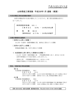 （平成28年1月）概要版 (PDF documentファイル