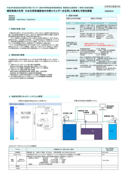 補助事業の名称 大谷石採取場跡地内冷熱エネルギーを活用した事業化