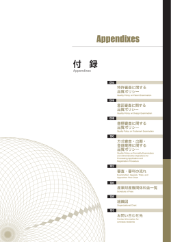 付録（PDF：914KB） - Japan Patent Office