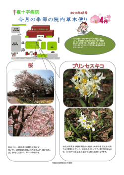 詳細はこちら - 複十字病院