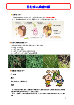 花粉症の基礎知識 - 社会医療法人仁寿会
