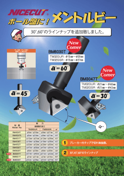 ﾒﾝﾄﾙﾋﾞｰ3047T最終2ページ