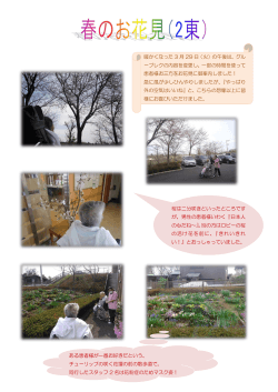 桜は二分咲きといったところです が、男性の患者様いわく『日本人 の心だ