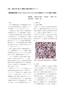 偏性嫌気性菌 Clostridium difficile における産生タンパクに関する研究