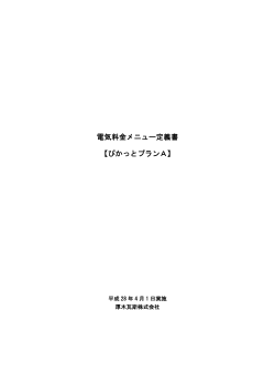 電気料金メニュー定義書 【ぴかっとプランA】