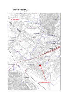 中州公園津波避難タワー地図