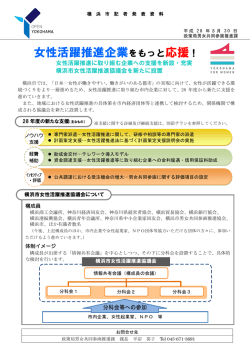 記者発表資料（PDF形式 523KB）
