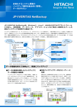 JP1/VERITAS NetBackup