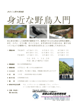身近な野鳥入門 - 和歌山県立自然博物館